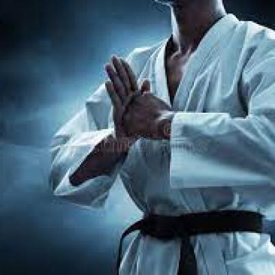 Karate gallery